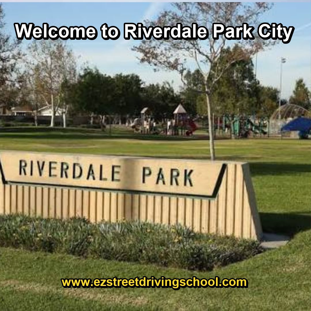 Driving Lessons in Riverdale Park